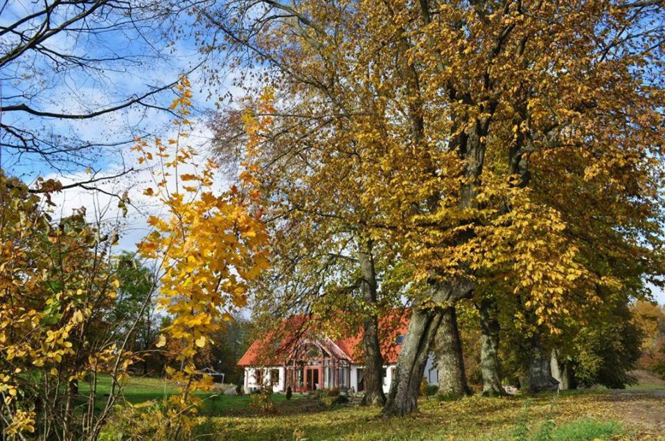 Villa Poza Zgielkiem à Węgorzewo Extérieur photo