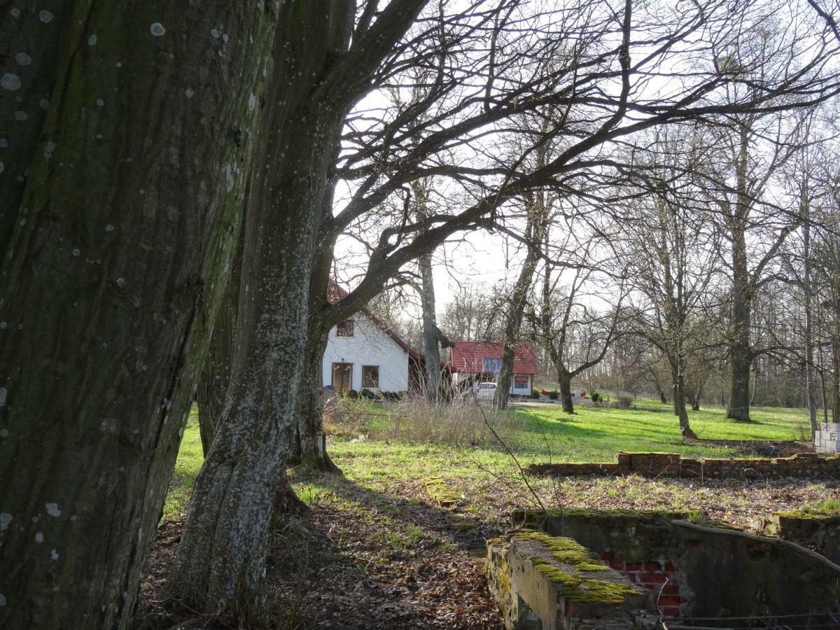 Villa Poza Zgielkiem à Węgorzewo Extérieur photo
